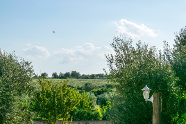 Esperienza in agriturismo a San Teodoro